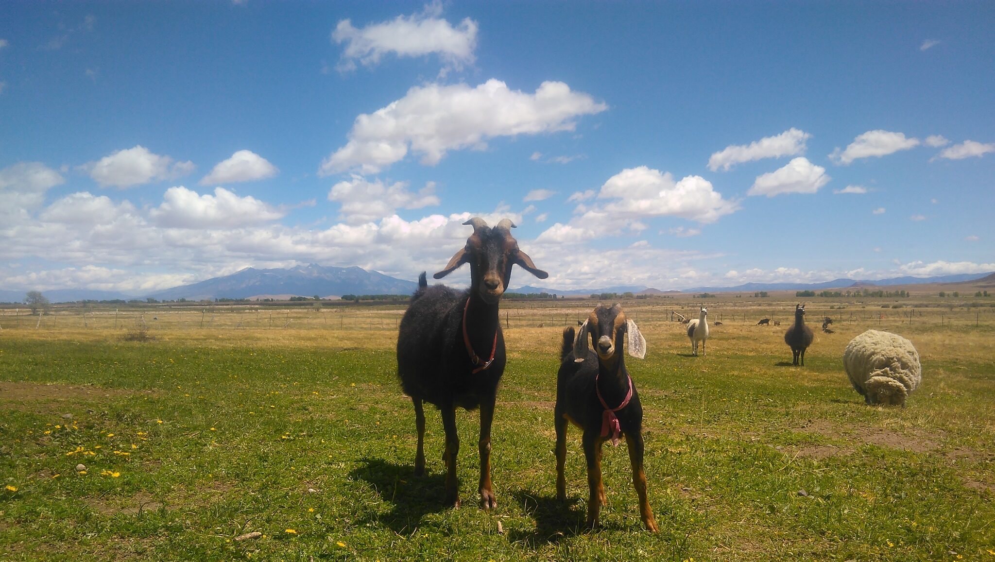 Kiko and Taylor Swift