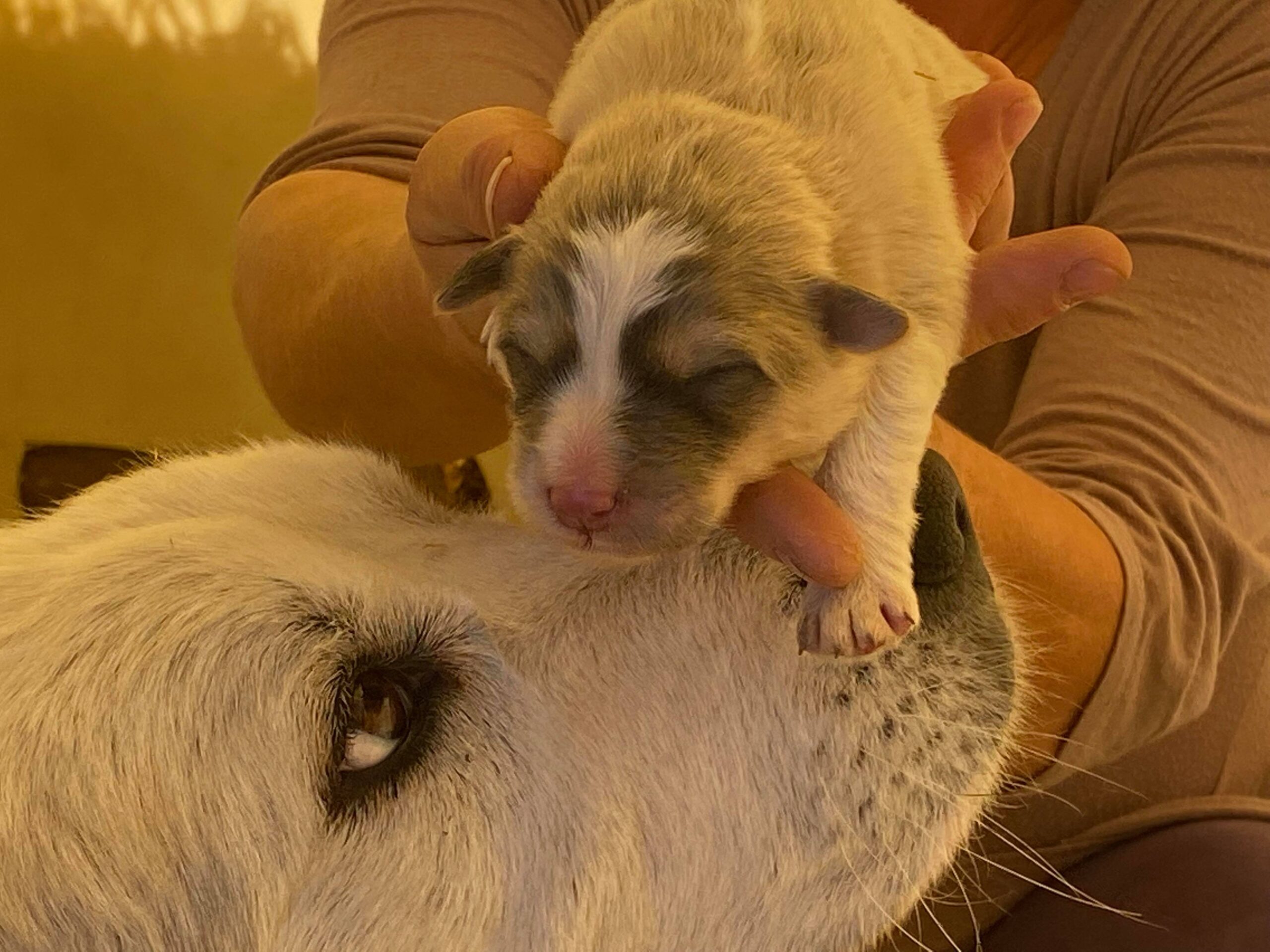 Lonan with his momma