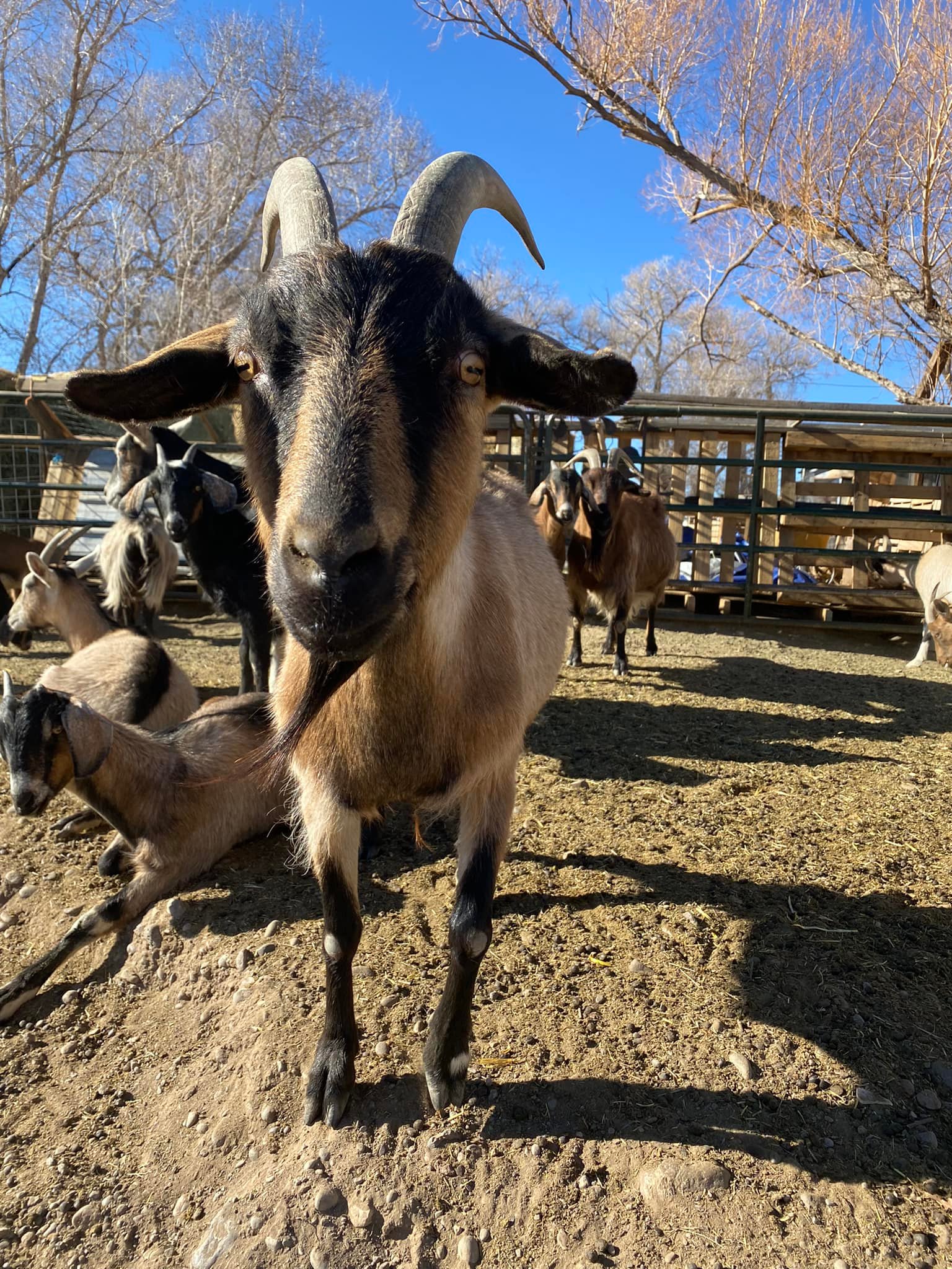 '22 Quitarah with Marie