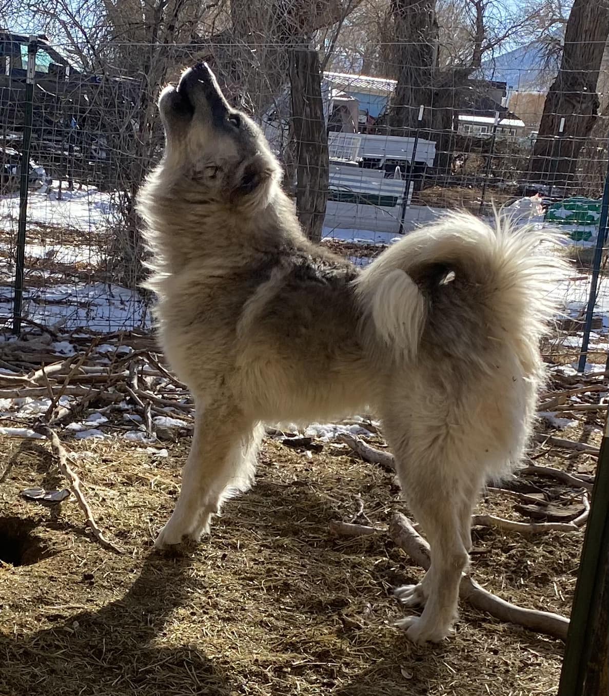 MMC Lonan giving notice of his presence